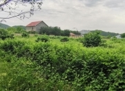 Satılır 8 sot torpaq Qəbələ