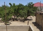 Satılır 3 sot torpaq Sumqayıt