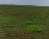 Satılır 200 sot torpaq Şabran