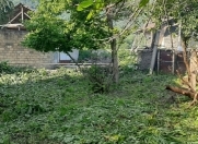 Satılır 12 sot torpaq Qəbələ