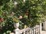 Satılır 7 sot torpaq Gənclik m.