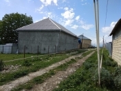 Satılır 24 sot torpaq İsmayıllı