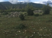 Satılır 7 sot torpaq Şəki