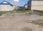 Satılır 5 sot torpaq İmişli