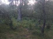 Satılır 12 sot torpaq Qusar