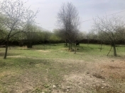 Satılır 10 sot torpaq Qəbələ