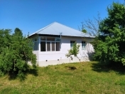 Satılır 260 sot torpaq Qəbələ