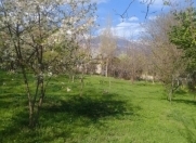 Satılır 24 sot torpaq Şəki