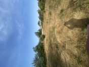 Satılır 10 sot torpaq Sumqayıt