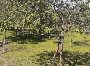 Satılır 16 sot torpaq Qəbələ