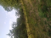 Satılır 30 sot torpaq Quba