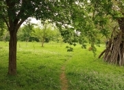 Satılır 1000 sot torpaq Qəbələ