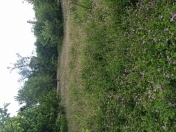 Satılır 25 sot torpaq İsmayıllı