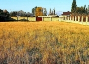 Satılır 20 sot torpaq Quba