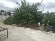 Satılır 2 otaqlı 40 m2 bağ evi Mərdəkan