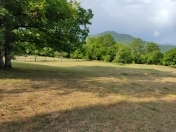 Satılır 50 sot torpaq Qəbələ