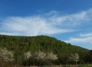 Satılır 30 sot torpaq Quba