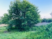 Satılır 13 sot torpaq Qəbələ