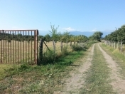 Satılır 150 sot torpaq Zaqatala