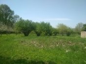 Satılır 30 sot torpaq Qəbələ