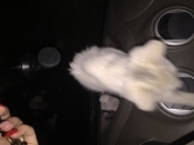 İcarəyə verilir 2 otaqlı 70 m2 köhnə tikili Gəncə