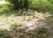 Satılır 10 sot torpaq Göygöl