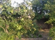 Satılır 24 sot torpaq Sumqayıt