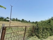 Satılır 28 sot torpaq Qəbələ