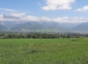 Satılır 14 sot torpaq Quba