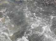 Satılır 9 sot torpaq İsmayıllı