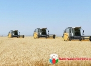 Satılır 27 sot torpaq Tovuz