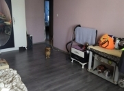 Satılır 2 otaqlı 52 m2 köhnə tikili 8 km