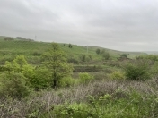 Satılır 300 sot torpaq Şamaxı