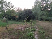 Satılır 0 sot torpaq Qəbələ