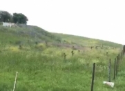 Satılır 14 sot torpaq Şamaxı