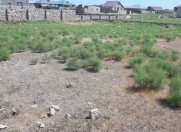 Satılır 10 sot torpaq Buzovna