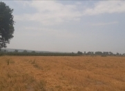 Satılır 216 sot torpaq Qusar