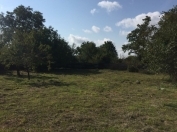 Satılır 11 sot torpaq Qəbələ