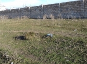 Satılır 10 sot torpaq Şabran