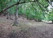 Satılır 8 sot torpaq Qusar