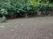 Satılır 193 sot torpaq Quba