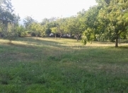 Satılır 15 sot torpaq Şəki