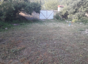 Satılır 12 sot torpaq Qəbələ