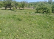 Satılır 50 sot torpaq Quba