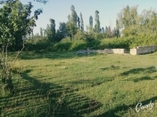 Satılır 13.5 sot torpaq Şabran