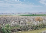 Satılır 3 sot torpaq Ağdaş