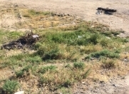 Satılır 3 sot torpaq Şirvan