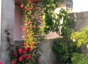 Satılır 3 otaqlı 86 m2 həyət evi Albalı