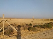 Satılır 800 sot torpaq Sumqayıt