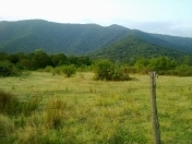 Satılır 20 sot torpaq Zaqatala